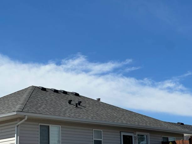 Roofing repair and installation